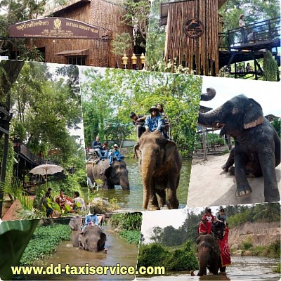 Taxi to Pattaya Elephant Village