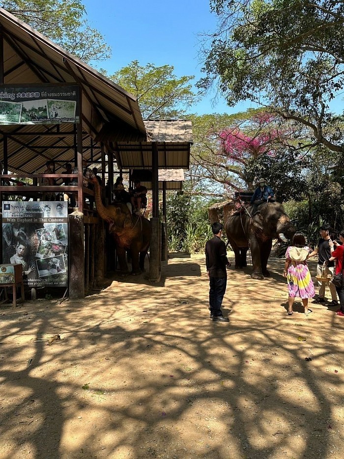 Elephant village