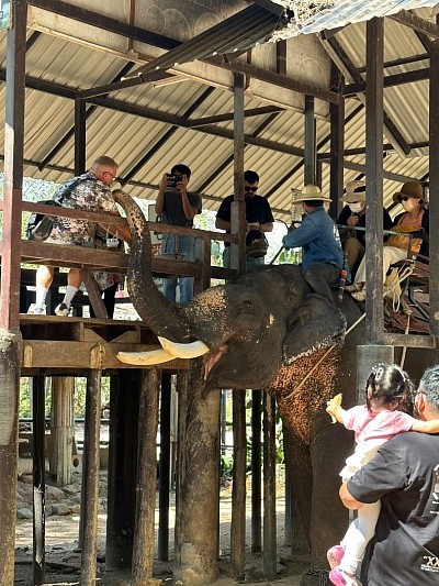 Taxi to Elephant Village
